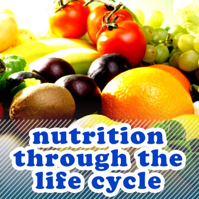 Nutrition Through the Life Cycle